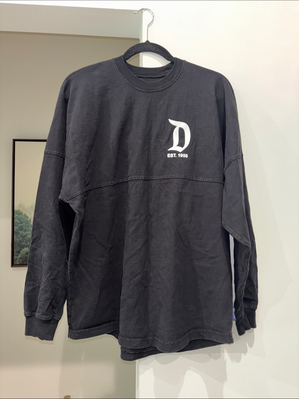 Disneyland Spirit Jersey
